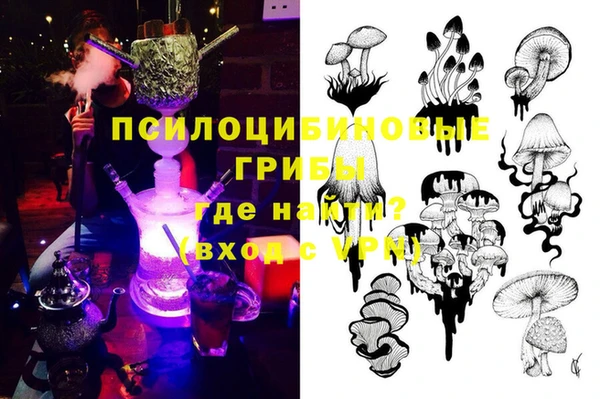 амф Горнозаводск