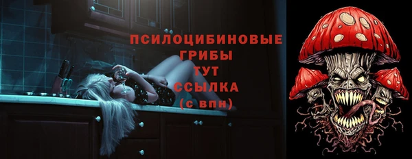 дурь Вязьма
