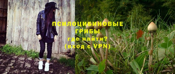 ALPHA-PVP Вяземский