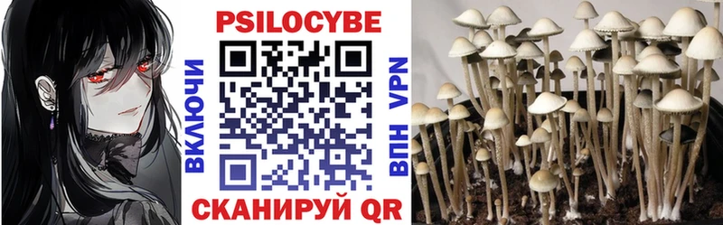 Псилоцибиновые грибы Psilocybine cubensis  Купить  Карачаевск 